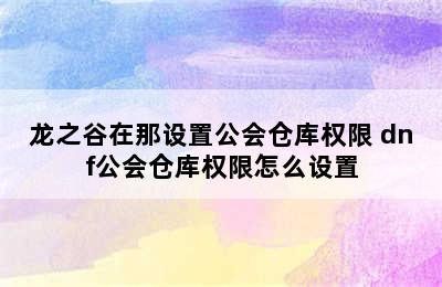 龙之谷在那设置公会仓库权限 dnf公会仓库权限怎么设置